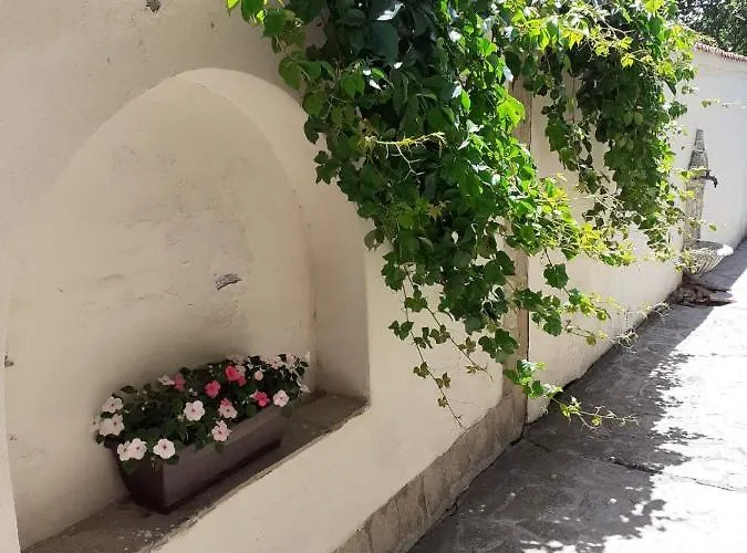 Alloggio in famiglia Bleu - синя лю-бо-в Sinemoretz